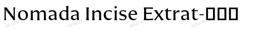 Nomada Incise Extrat字体转换 Nomada Incise Extrat字体转换